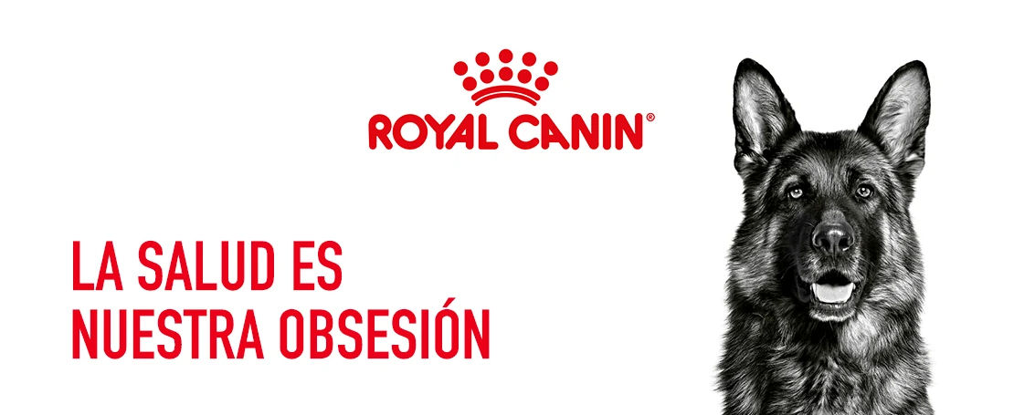 Imagen de Royal Canin